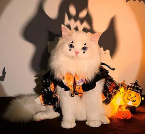 Feline Frights: Safe and Fun Halloween Costumes for Your Cat